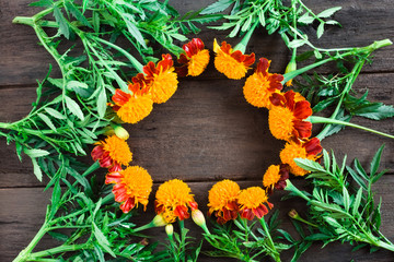 Frame of beautiful orange marigolds on a wooden background. Natural floral background