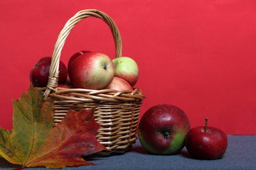 Wicker basket with ripe juicy apples. Nearby are a few apples. New crop. Autumn maple leaf. On a coral background.