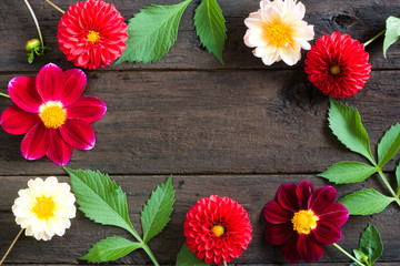 Frame of colorful dahlia flowers on a wooden background. Beautiful floral background