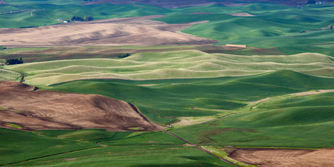 Panoramic view of the spring fields in the Palouse Hills region of Washington state.