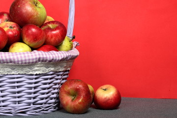Wicker basket with ripe juicy apples. Nearby are a few apples. New crop. On a coral background.