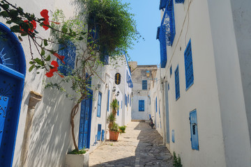 Fototapeta na wymiar A street in the Arab village of Sidi Bou Said. House with arabic windows and doors with blue ornaments, Sidi Bou Said, Tunisia, Africa