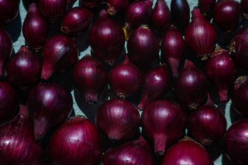 Purple bulbs dry in sunlight on the ground