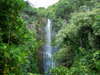 Tropical Hawaiian Waterfall