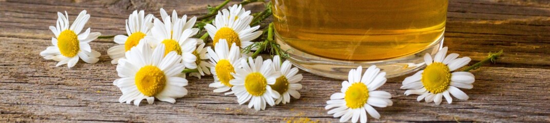 banner of Cup of tea with chamomile flowers on rustic wooden background