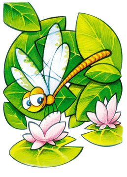 Lib&eacute;lula pousada na ninfeia