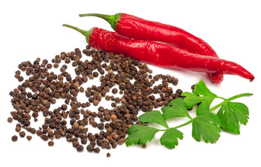 Pepper bitter on white background isolated