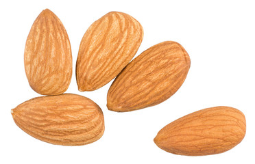 Almond nut isolated on white background, top view