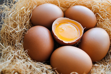 Nest with brown chicken eggs.