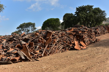 Oficios artesanales en el parque natural de los Alcornocales