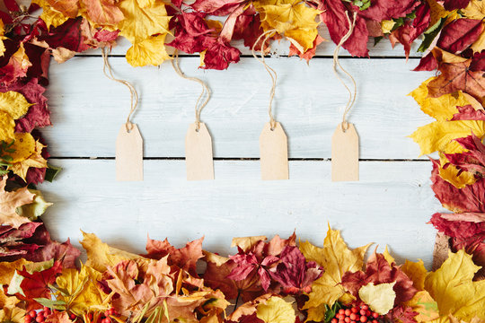 A blank tag sitting on a fall leaf background, fall harvest