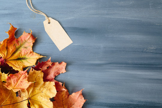 Colorful leaves with one tags on gray wood table background with copy space. View from above. Top view. Copy space for text and design - Powered by Adobe