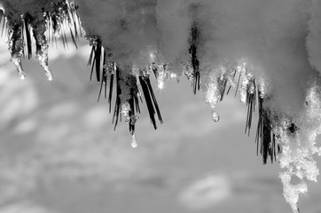 winter cold weather and sun reflections