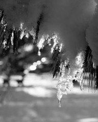 winter cold weather and sun reflections