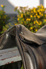 Pommel of black english traditional dressage saddle. Close up.