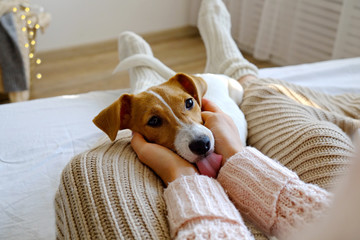 Young woman and her adorable jack russell terrier puppy sitting on couch cozied up, covered with blanket. Lazy afternoon at home with loved pet concept. Close up, copy space, interior background.