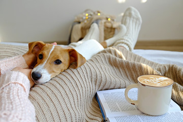 Young woman and her adorable jack russell terrier puppy sitting on couch cozied up, covered with...