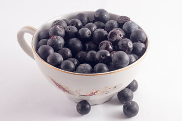 blueberries in a bowl isolated on white background