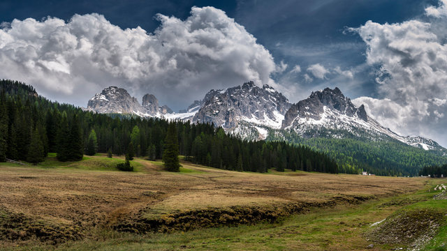Forest in front of&dagger;Elferkofel and Sextener Rotwand mountains,&dagger;South Tyrol, Italy