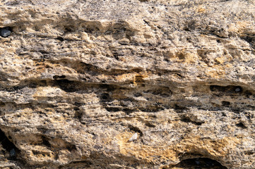 Stone texture. Cellular dolomite large solid