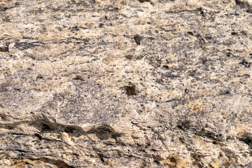 Stone texture. Cellular dolomite large solid