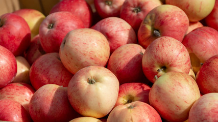 Apple fruit background. apples on the counter of the grocery market