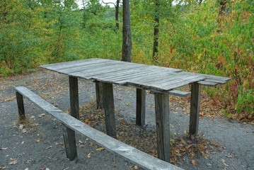 Fototapeta premium gray old wooden table and seats on the ground among the vegetation in the forest
