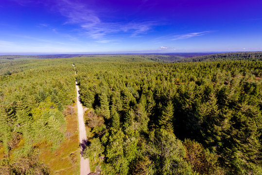 View from Kaiser Wilhelm Tower, Hohloh Tower, on Kaltenbronn Nature and Forest Protection Area, Baden-Wuerttemberg, Germany, Europe