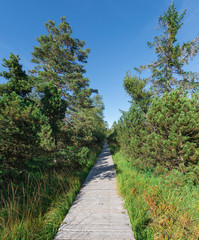 Fototapeta premium Wooden footpath, hiking trail, nature reserve Wildseemoor, Kaltenbronn, Gernsbach, Black Forest, Baden-Wuerttemberg, Germany, Europe