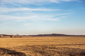 Obraz premium a field flooded with sunlight on which they harvested and plant a new year