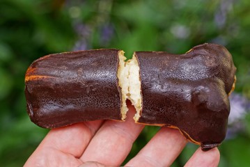 pieces of brown chocolate custard cake lie on the fingers on a green background