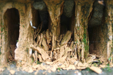 Destroyed brick macro photo. The inside of brick, split brick. Close-up photo with selective focus.
