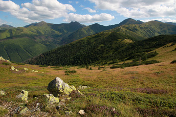 Fototapeta na wymiar Chocholowska Valley, Western Tatra Mountains, Poland