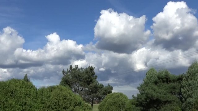 widok na niebo