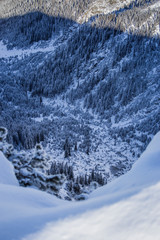 Deep forest valley in winter