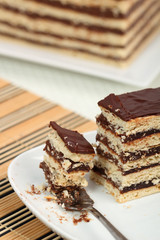 piece of chocolate cake on a plate