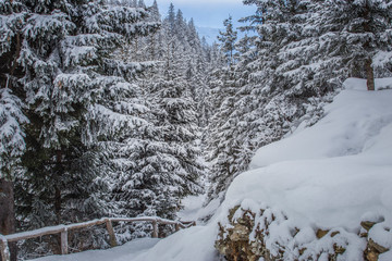 Winter trail covered in heavy snow