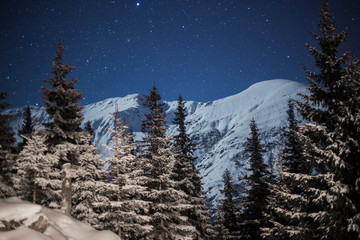 Fototapeta na wymiar Mountain peaks under the winter stars