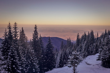 Evening light falling on fields