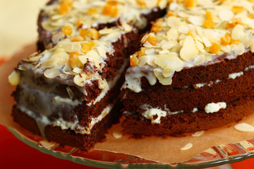piece of chocolate cake