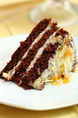 piece of chocolate cake on a plate