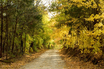 Fototapeta na wymiar Tennessee Autumn Road
