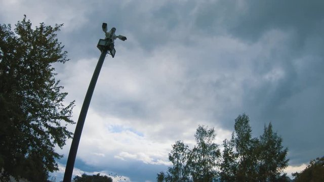 Surveillance camera in the park against the sky. Birds fly over observation. Futuristic security cameras scanning the street in 4K