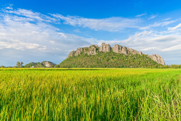 Rice Field View with Mountains against Blue Sky and Clouds in the Background