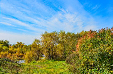 Idyllic bright multicolored  autumn landscape with little forest river at background