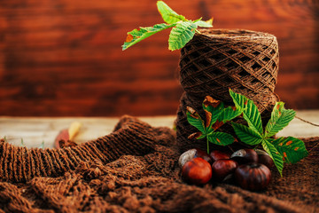 Handmade knitted clothes. Brown aran sweater with chestnuts and cinnamon.