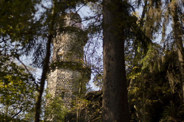 alter Burgturm zwischen B&auml;umen