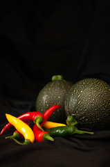 round courgettes and bright hot peppers