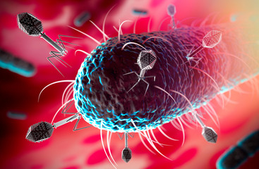 Bacteriophages infecting bacterium - 3D illustration