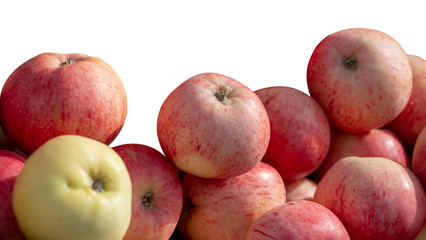 lots of pink red apples isolated on white background